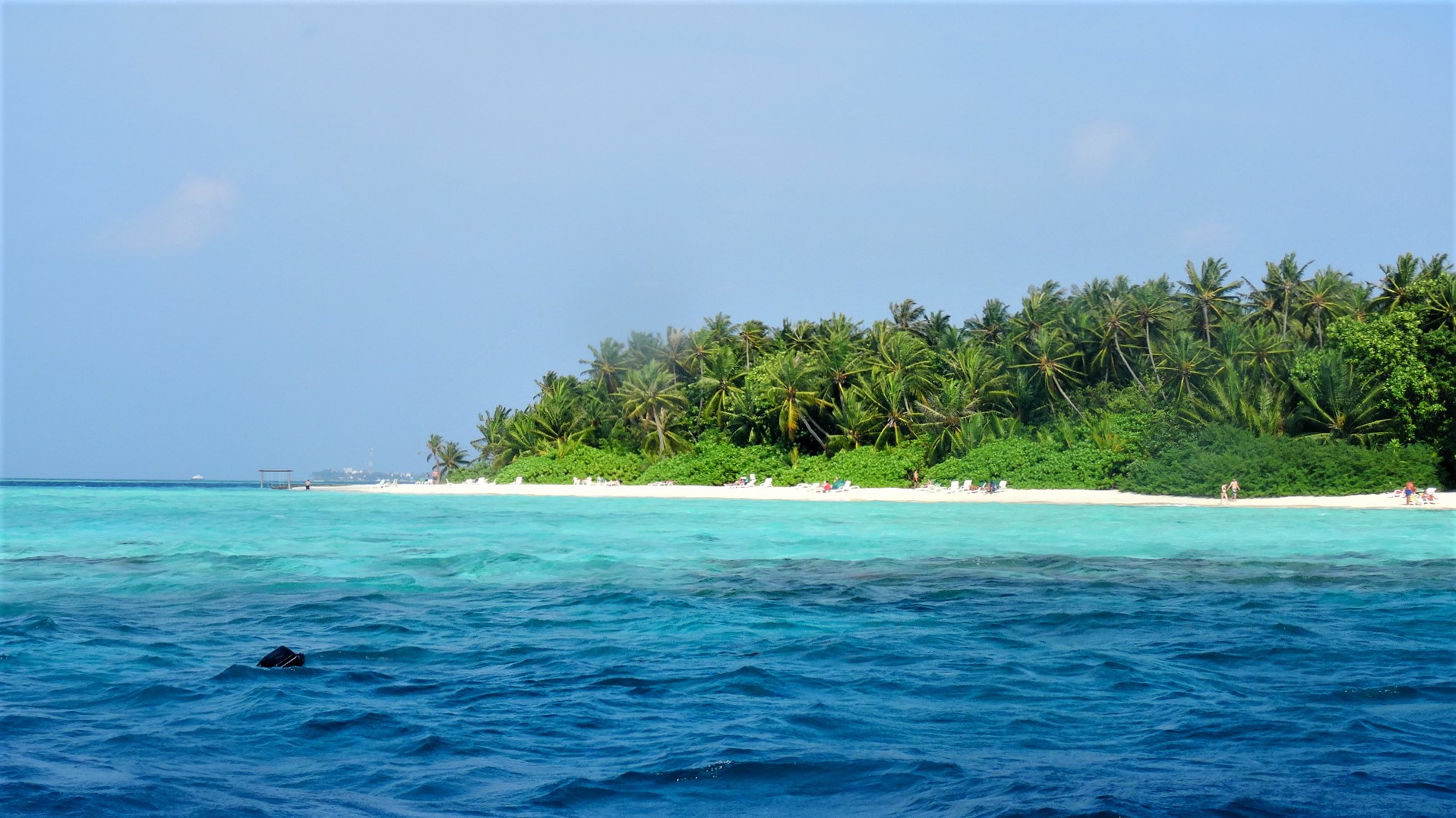 Eiland met strand en palmbomen