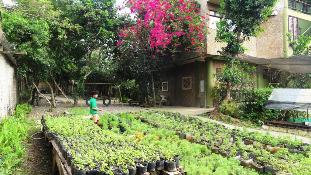 Moestuin in de Bee Farm Restaurant op Panglao als een van de leukere bezienswaardigheden op Bohol in de Filipijnen