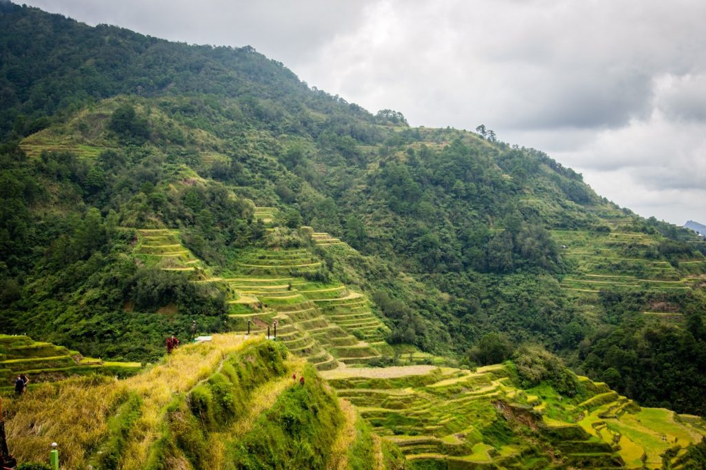 Rijstvelden in Banaue in Luzon in de Filipijnen