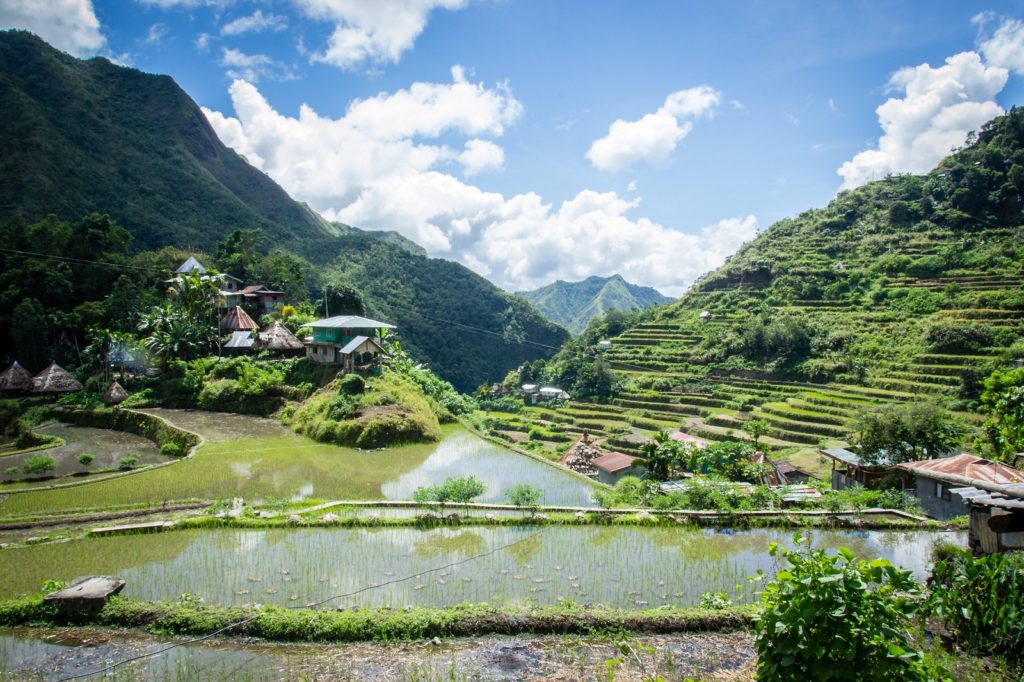 Rijstvelden in Batad in de Filipijnen