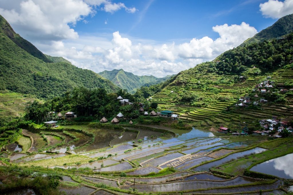 Rijstvelden in Batad in Luzon in de Filipijnen