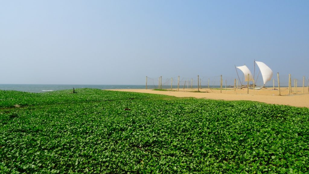 Het strand van Negombo in Sri Lanka