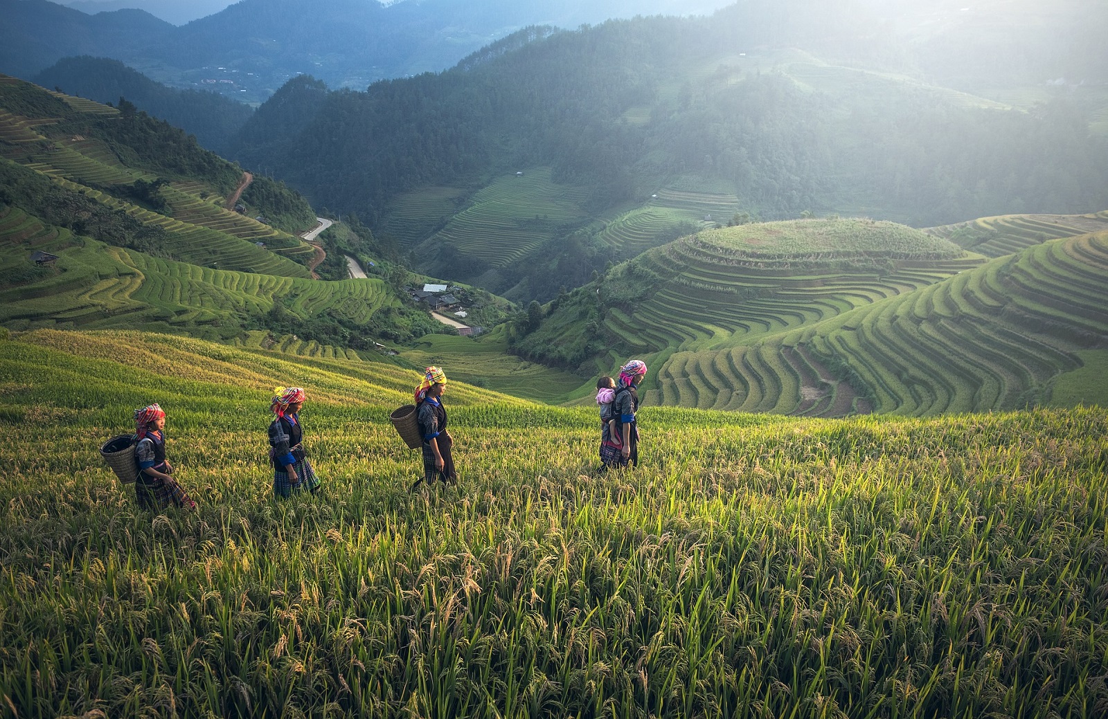 Rijstvelden mooiste plekken Vietnam