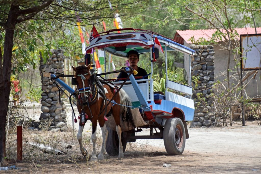 Man met paar op welk Gili eiland bezoeken