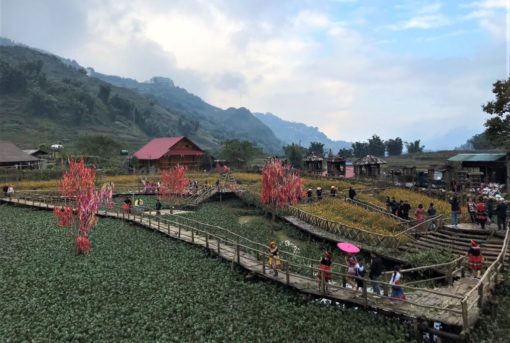 De tuinen met waterlelies van het dorpje Cat Cat in Sapa